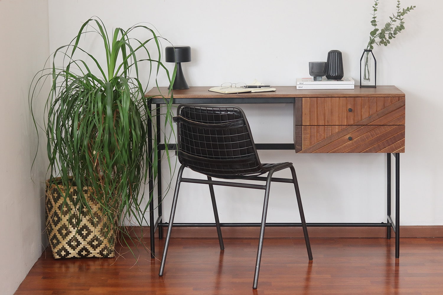  ebony catalog picture