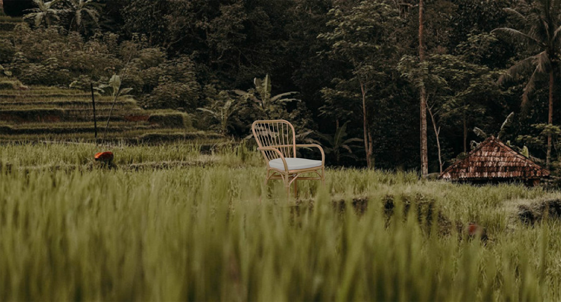 Assise en rotin en provenance d'Indonésie